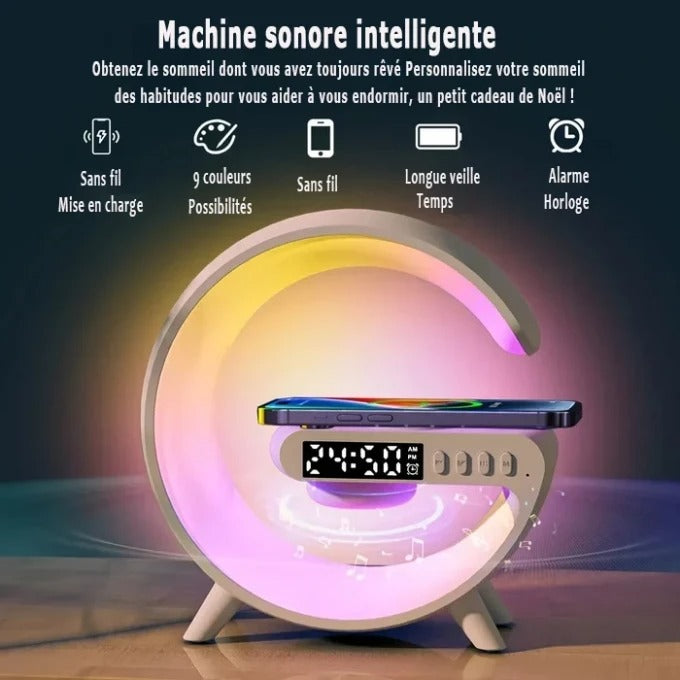 Enceinte Bluetooth Multifonctionnelle (PROMOTION -50%)